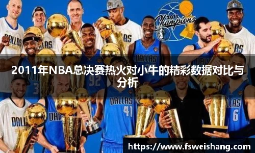 2011年NBA总决赛热火对小牛的精彩数据对比与分析
