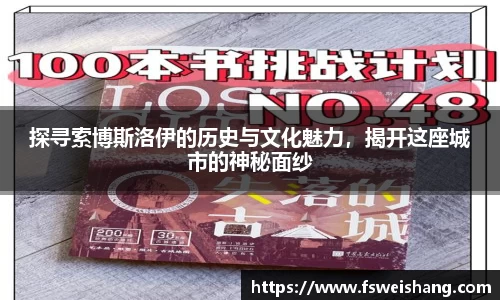 探寻索博斯洛伊的历史与文化魅力，揭开这座城市的神秘面纱