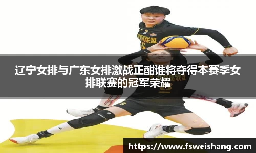 辽宁女排与广东女排激战正酣谁将夺得本赛季女排联赛的冠军荣耀